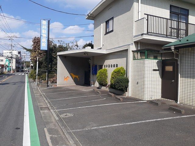 近くの桜井動物病院まで416m（徒歩6分）