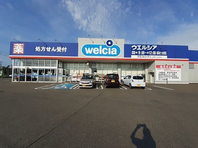 近くのドラッグストアまで800m（徒歩10分）