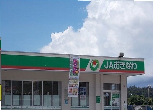 近くのJAおきなわ豊原支店まで600m（徒歩8分）
