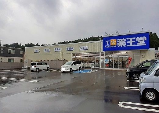近くの薬王堂秋田天徳寺通店まで700m（徒歩9分）