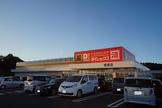 近くのダイレックスまで530m（徒歩7分）