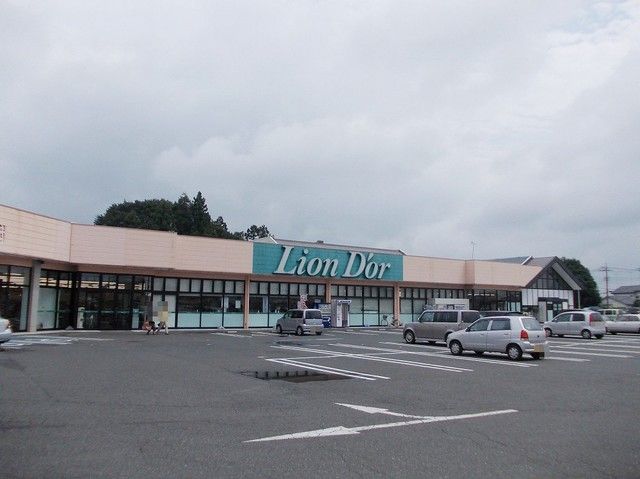近くのリオン・ドール 高根沢店まで1,400m(徒歩18分)
