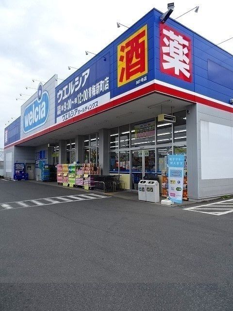 近くのウェルシア青梅新町店まで1,200m(徒歩15分)
