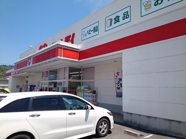 近くのくすりのレデイ道後石手店様まで800m（徒歩10分）