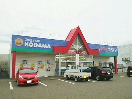 近くのくすりのコダマまで700m(徒歩9分)