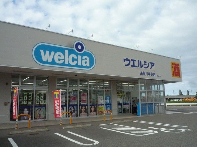 近くのウエルシア糸魚川寺島店まで1,100m(徒歩14分)