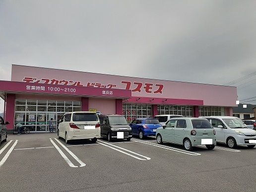 近くのドラッグストア塩浜店まで950m（徒歩12分）