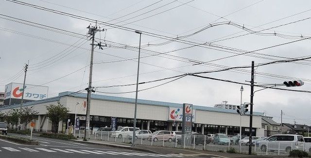 近くのカワチ薬品仙台東店まで850m（徒歩11分）