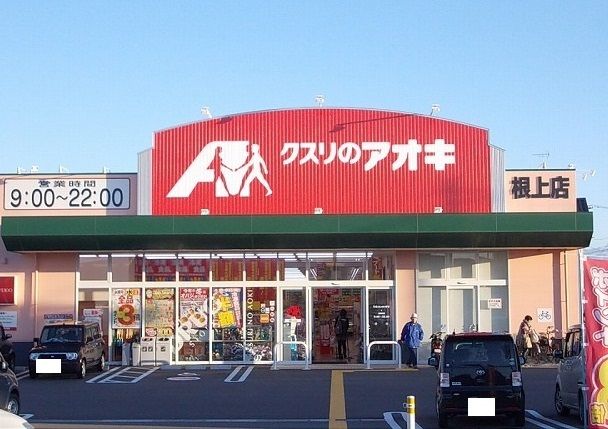 近くのドラッグストアまで300m（徒歩4分）