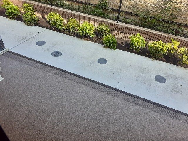 庭
