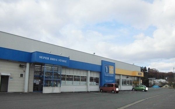 近くの薬王堂　北上村崎野店まで1,600m（徒歩20分）