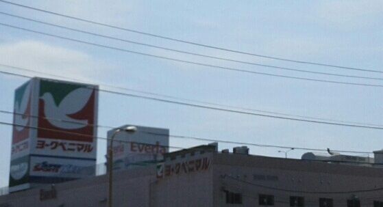近くのエブリアまで1,400m(徒歩18分)