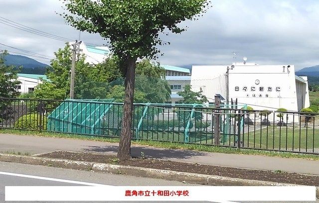 近くの小学校まで350m（徒歩5分）