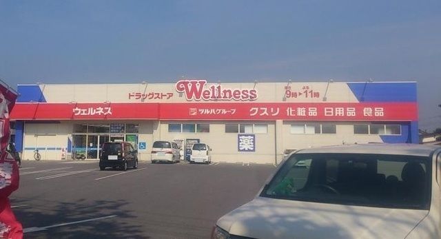 近くのウェルネス米原店まで850m（徒歩11分）