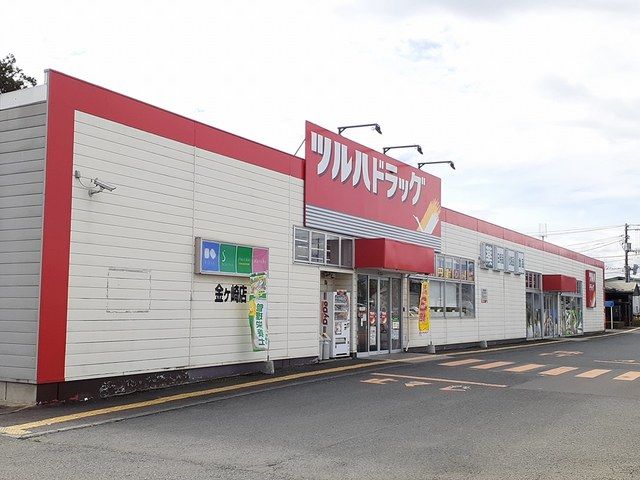 近くのツルハドラッグ　金ヶ崎店まで1,200m（徒歩15分）