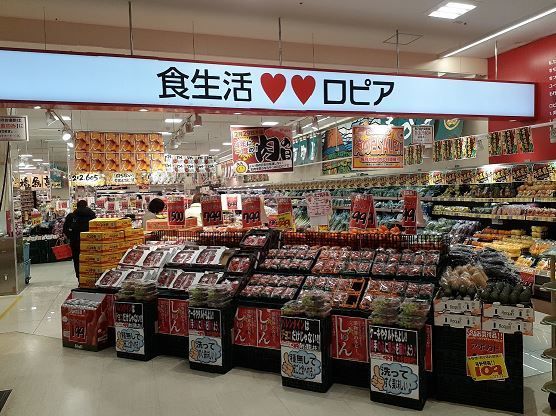 近くのロピアまで1,600m(徒歩20分)