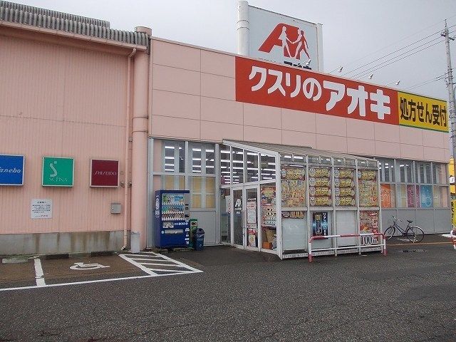 近くのクスリのアオキ野村店まで750m（徒歩10分）