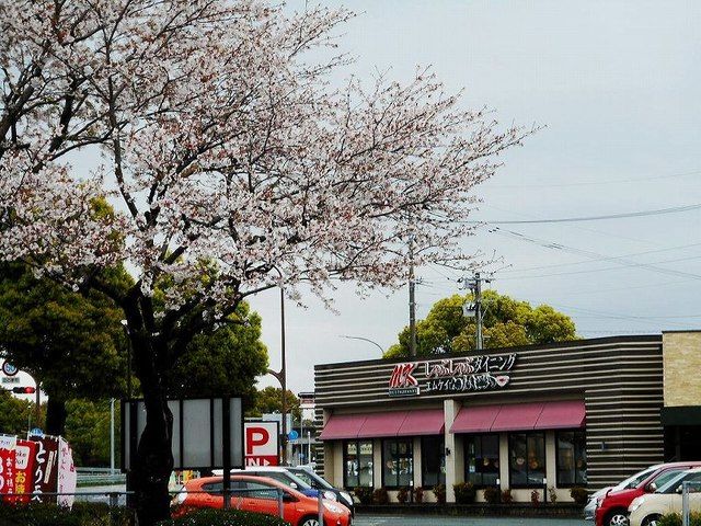近くのＭＫレストラン桜木店まで200m（徒歩3分）