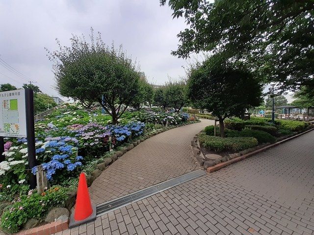 近くの下丸子公園まで25m(徒歩1分)