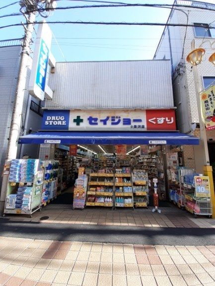 近くのココカラファインセイジョー深沢まで110m（徒歩2分）