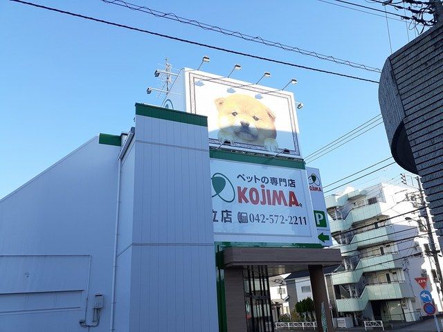 近くのペットショップまで1,876m（徒歩24分）