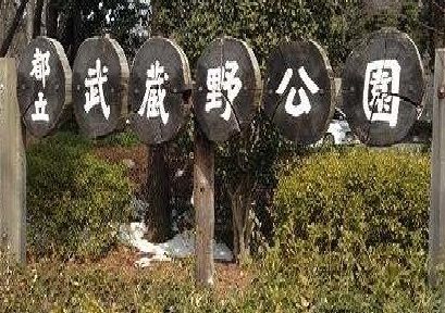 近くの武蔵野公園まで300m(徒歩4分)