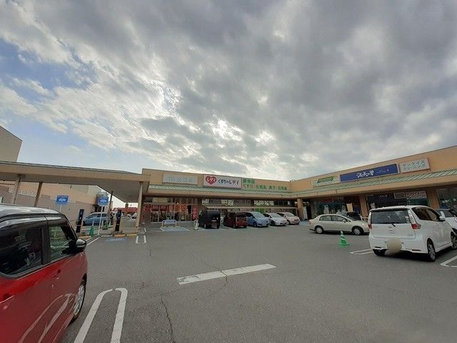 近くのくすりのレディ野市店まで940m(徒歩12分)