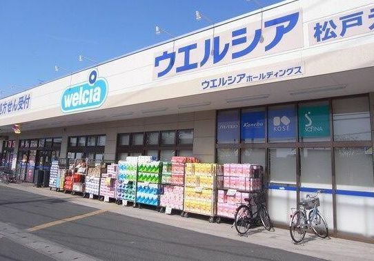 近くのウェルシアまで200m(徒歩3分)