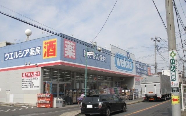近くのウエルシア薬局市川東国分店まで850m（徒歩11分）