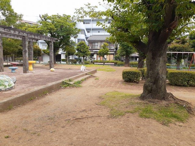 近くの芝後谷公園まで320m（徒歩4分）