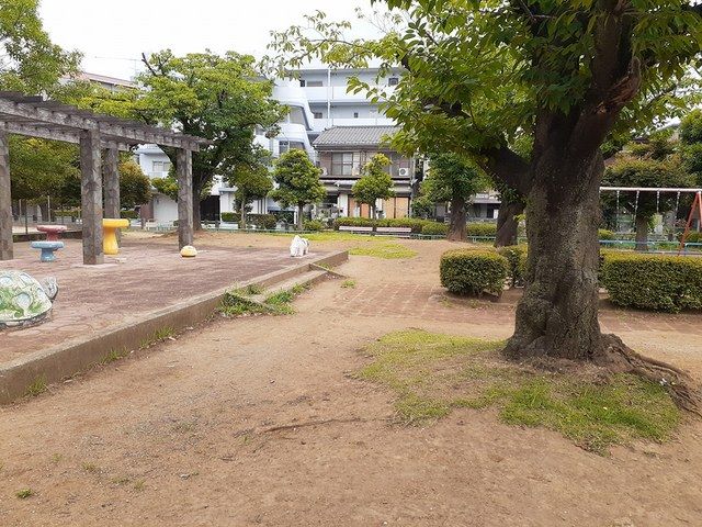 近くの公園まで320m（徒歩4分）