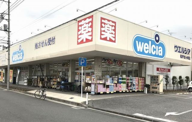 近くのウェルシアまで300m（徒歩4分）