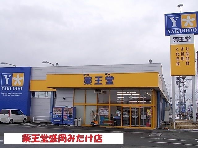 近くの薬王堂盛岡みたけ店まで400m(徒歩5分)