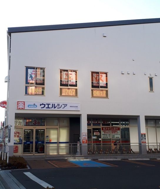 近くのウエルシア相模原古淵店まで450m（徒歩6分）