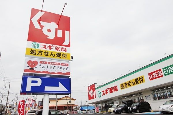 近くのドラッグストアまで750m（徒歩10分）