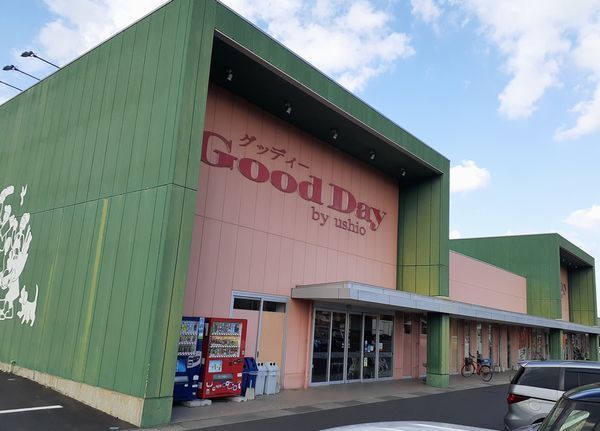 近くのグッディー斐川店まで1,500m（徒歩19分）