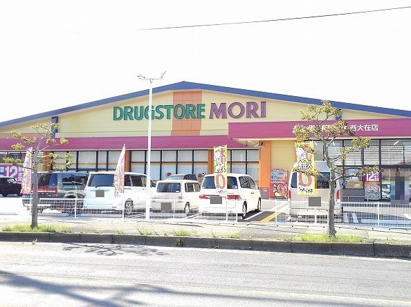 近くのドラモリまで1,300m（徒歩17分）