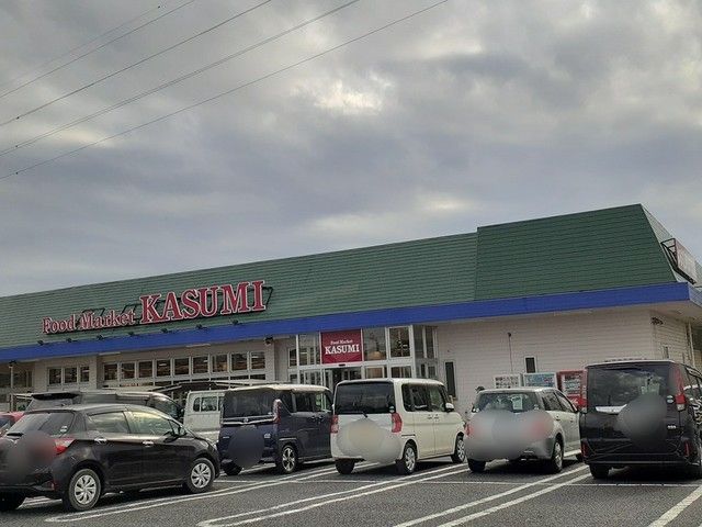 近くのカスミフードスクエア杉戸店まで861m（徒歩11分）