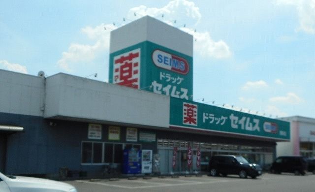 近くのドラッグセイムス 根岸店まで750m（徒歩10分）