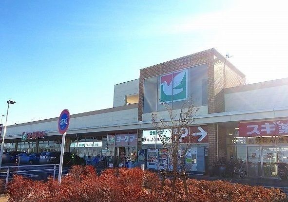 近くのヨークマートまで1,300m（徒歩17分）