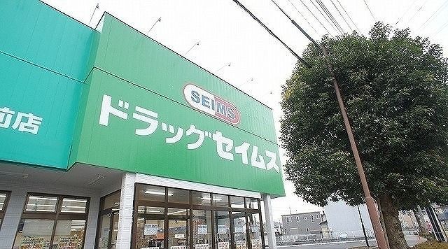 近くのドラッグセイムス 武州長瀬駅前まで750m（徒歩10分）