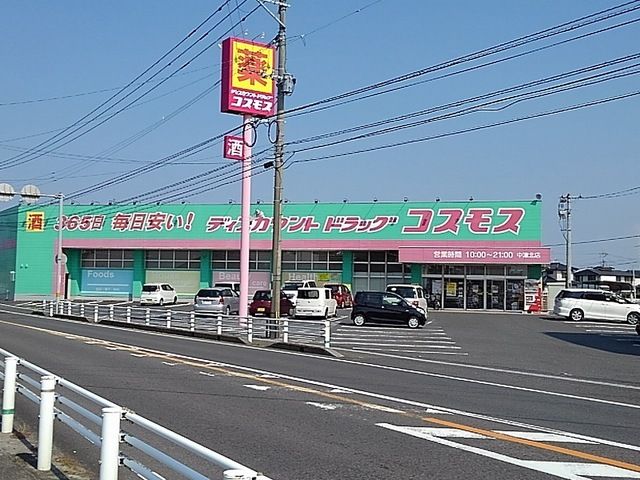 近くのドラッグストアまで800m（徒歩10分）