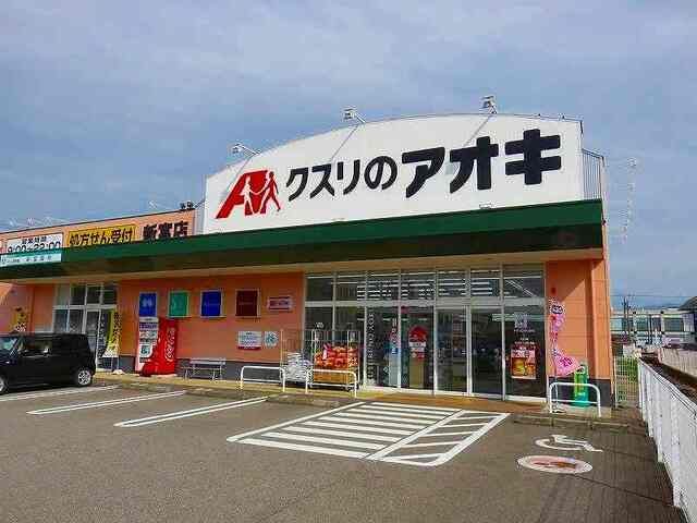 近くのクスリのアオキまで1,100m（徒歩14分）