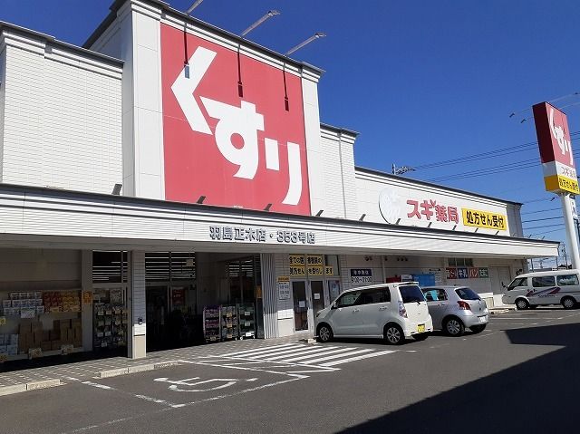 近くのスギドラッグ羽島正木店まで500m(徒歩7分)