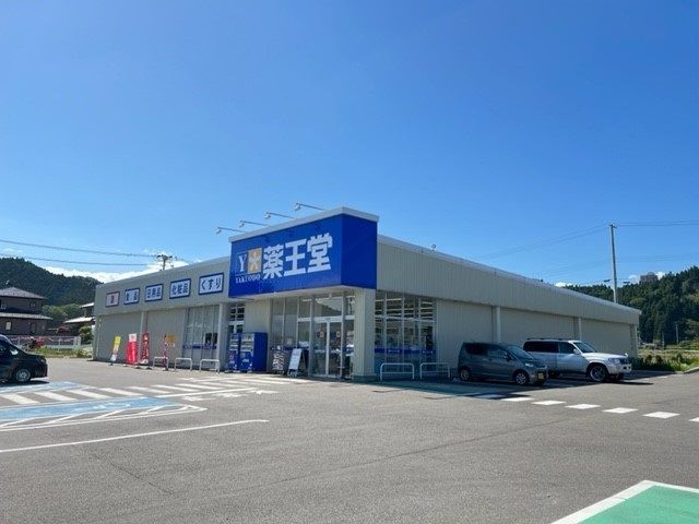 近くのドラッグストアまで750m（徒歩10分）