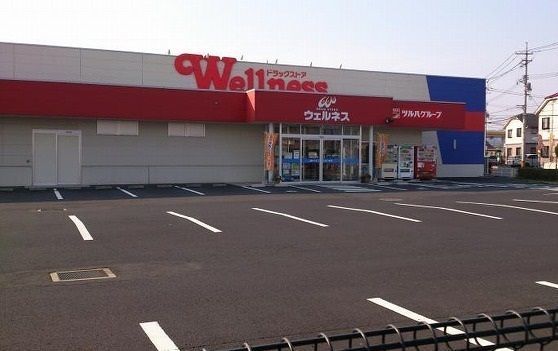 近くのウェルネス 斐川店まで2,200m（徒歩28分）