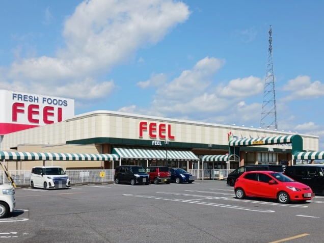 近くのフィール 岡崎大和店まで800m(徒歩10分)