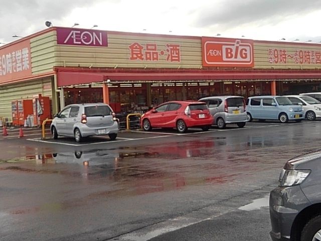 近くのザ・ビッグ中原店まで860m（徒歩11分）
