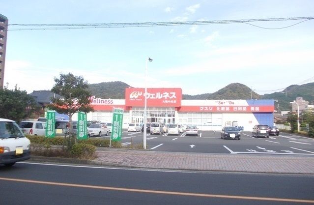 近くのウェルネス大田中央店まで900m（徒歩12分）