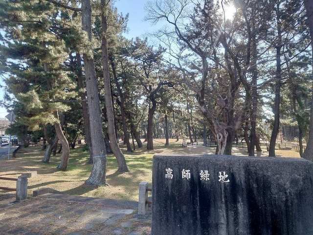 近くの高師緑地公園まで150m（徒歩2分）